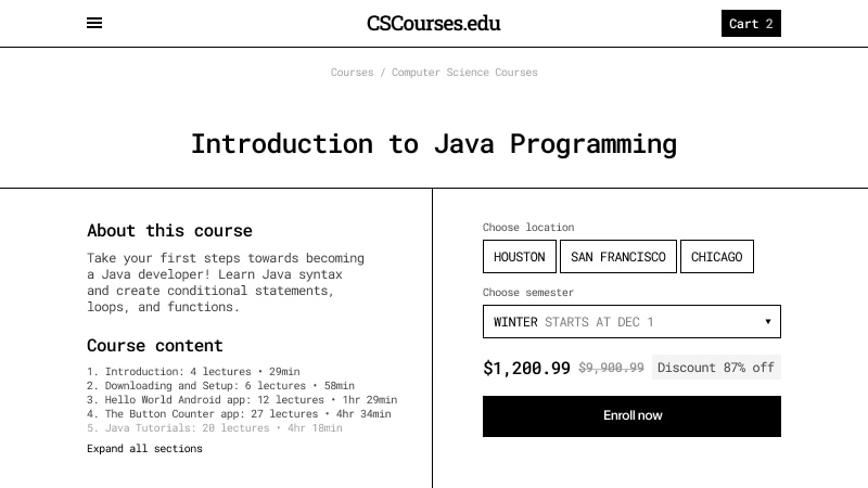 Screenshot of the programming courses website