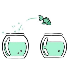 A fish jumping from one tank to another